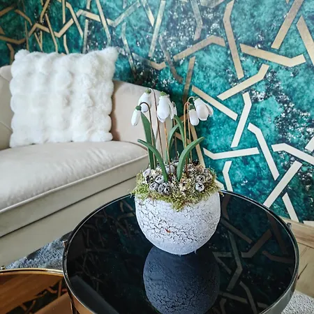 Apartman Vendeghaz *
