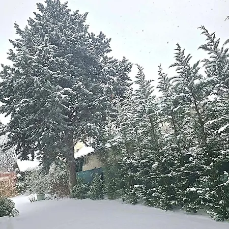 Vendeghaz Balatonfüred