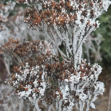 Vendeghaz Apartman *